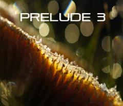 Mark Whitefield - Prelude 3  