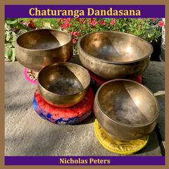 Nicholas Peters - Chaturanga Dandasana