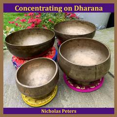 Nicholas Peters - Concentrating on Dharana